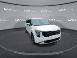 New 2026 Kia Carnival SX image 3