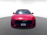 Used 2024 Ford Mustang Premium image 5