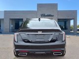 New 2026 Cadillac CT5 Sport w/ Sun And Sound Package image 5
