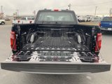 New 2025 Ford F150 XL image 4