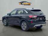 Used 2020 Ford Escape SEL image 5