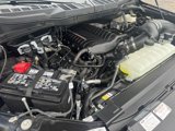 New 2025 Ford F150 XL w/ Equipment Group 103A High image 2