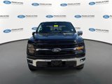 New 2025 Ford F150 XLT w/ Equipment Group 302A MID image 3