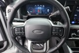 New 2025 Ford F250 Platinum image 3