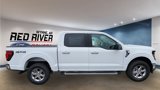 New 2025 Ford F150 XLT image 6