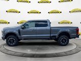 New 2025 Ford F250 Platinum w/ Tremor Off-Road Package image 2