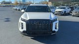 New 2025 Hyundai Palisade Calligraphy image 2