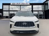 New 2025 INFINITI QX60 Autograph w/ Cargo Package image 2