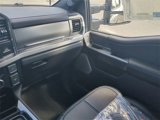 New 2025 Ford F250 Platinum image 6