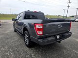 Used 2023 Ford F150 XL w/ STX Appearance Package image 5