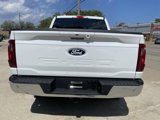 New 2025 Ford F150 XLT image 5