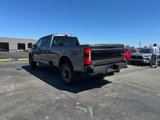 New 2025 Ford F250 Platinum image 3