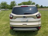 Used 2017 Ford Escape Titanium image 6