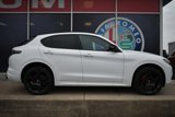 New 2025 Alfa Romeo Stelvio Tributo Italiano w/ Driving Assist Package image 2