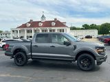 New 2025 Ford F150 STX w/ STX Black Appearance Package image 4