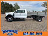 New 2025 Ford F550 4x4 SuperCab Super Duty image 3