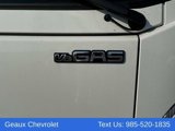 New 2025 Chevrolet Low Cab Forward image 4