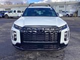 New 2025 Hyundai Palisade Calligraphy image 2