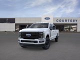 New 2025 Ford F250 Platinum image 2
