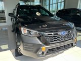 Used 2022 Subaru Outback Wilderness image 4