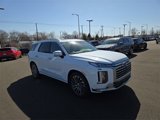 New 2025 Hyundai Palisade Calligraphy image 4