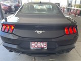 New 2024 Ford Mustang Premium image 5
