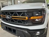 New 2025 Ford F150 Tremor image 2