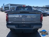 Certified 2025 Ford F150 STX w/ STX Black Appearance Package image 5