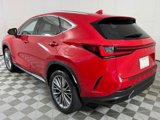 New 2025 Lexus NX 350h AWD w/ Premium Package image 5