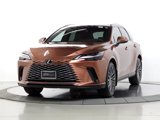 Used 2025 Lexus RX 350 w/ Luxury Package image 4