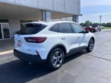 New 2025 Ford Escape ST-Line Elite image 3
