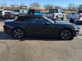 Used 2024 Ford Mustang Premium image 4