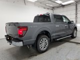 New 2025 Ford F150 XLT w/ Equipment Group 302A MID image 3