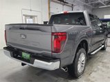 New 2025 Ford F150 XLT w/ Equipment Group 303A High image 5
