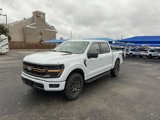 New 2025 Ford F150 Tremor w/ Mobile Office Package image 5