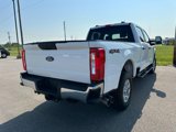 Used 2024 Ford F250 XLT image 3