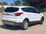 Used 2019 Ford Escape SE image 4