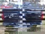 New 2025 Ford F150 XLT w/ Equipment Group 301A Standard image 3