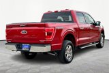 Certified 2022 Ford F150 XLT w/ Equipment Group 302A High image 2