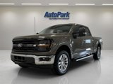 New 2025 Ford F150 XLT image 3