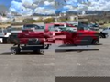 New 2025 Ford F150 XLT w/ Equipment Group 302A MID image 4