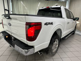Used 2024 Ford F150 XLT image 6