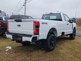 New 2024 Ford F350 XL w/ STX Appearance Package image 3