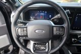 New 2026 Ford F250 Platinum image 3
