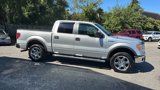 Used 2013 Ford F150 XLT w/ Luxury Equipment Group image 4