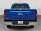 New 2025 Ford F150 XLT image 4