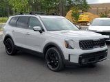 New 2025 Kia Telluride SX Prestige X-Line image 3