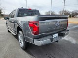 New 2025 Ford F150 XLT w/ Equipment Group 302A MID image 4