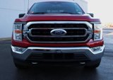 Used 2021 Ford F150 XLT w/ Equipment Group 301A Mid image 3