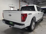New 2025 Ford F150 XLT w/ Equipment Group 302A MID image 5